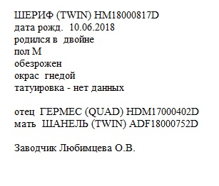 Шериф анк ЛПХ Любимцевой Ольги