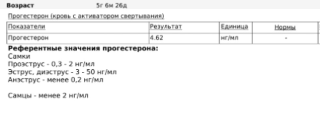 Прогестерон анализ расшифровка у женщин таблица