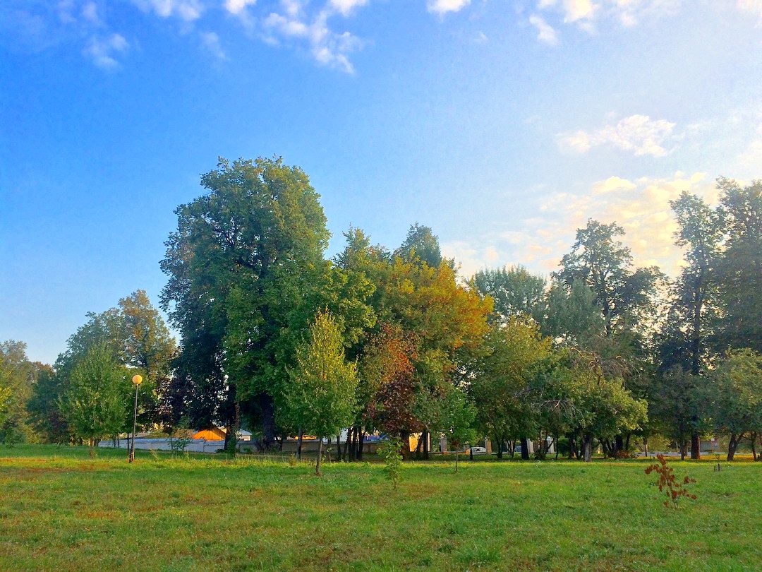 septmorning03 septmorning03