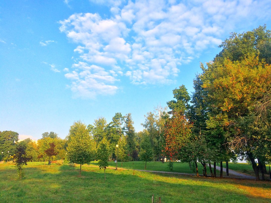 septmorning05 septmorning05