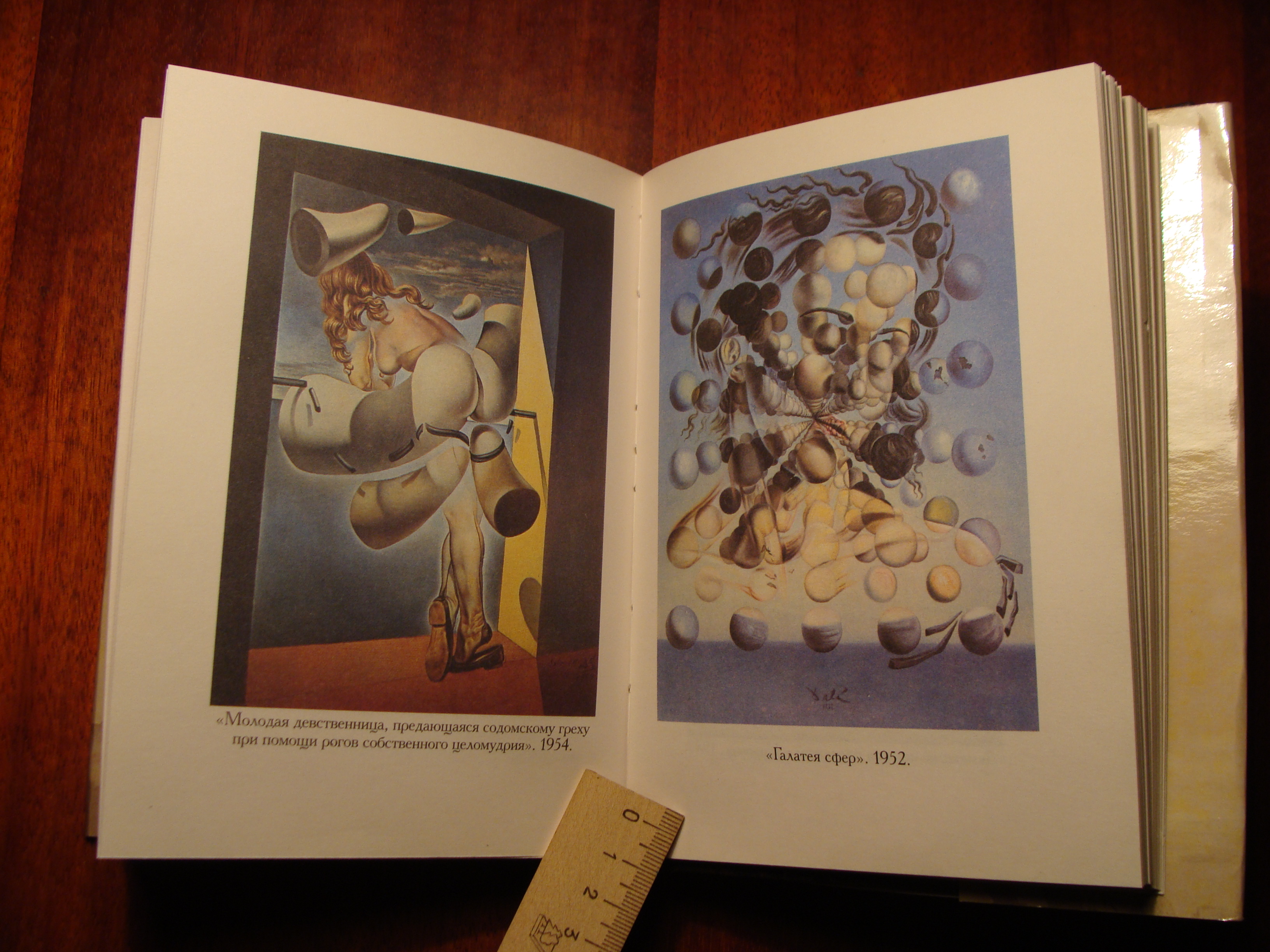 Сальвадор Дали Дневник одного гения