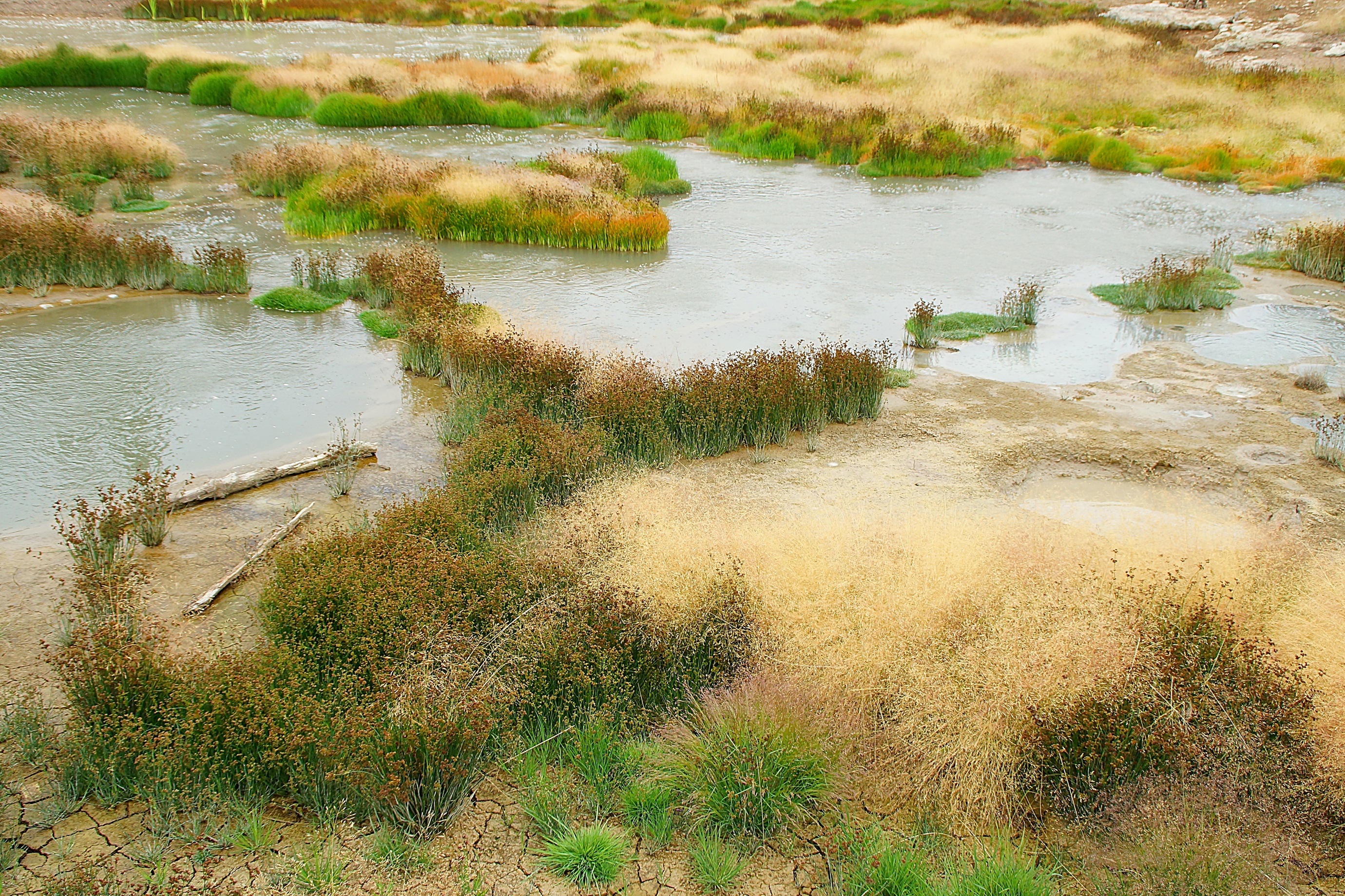 Озерца возле горячих источников. Фото Морошкина В.В.