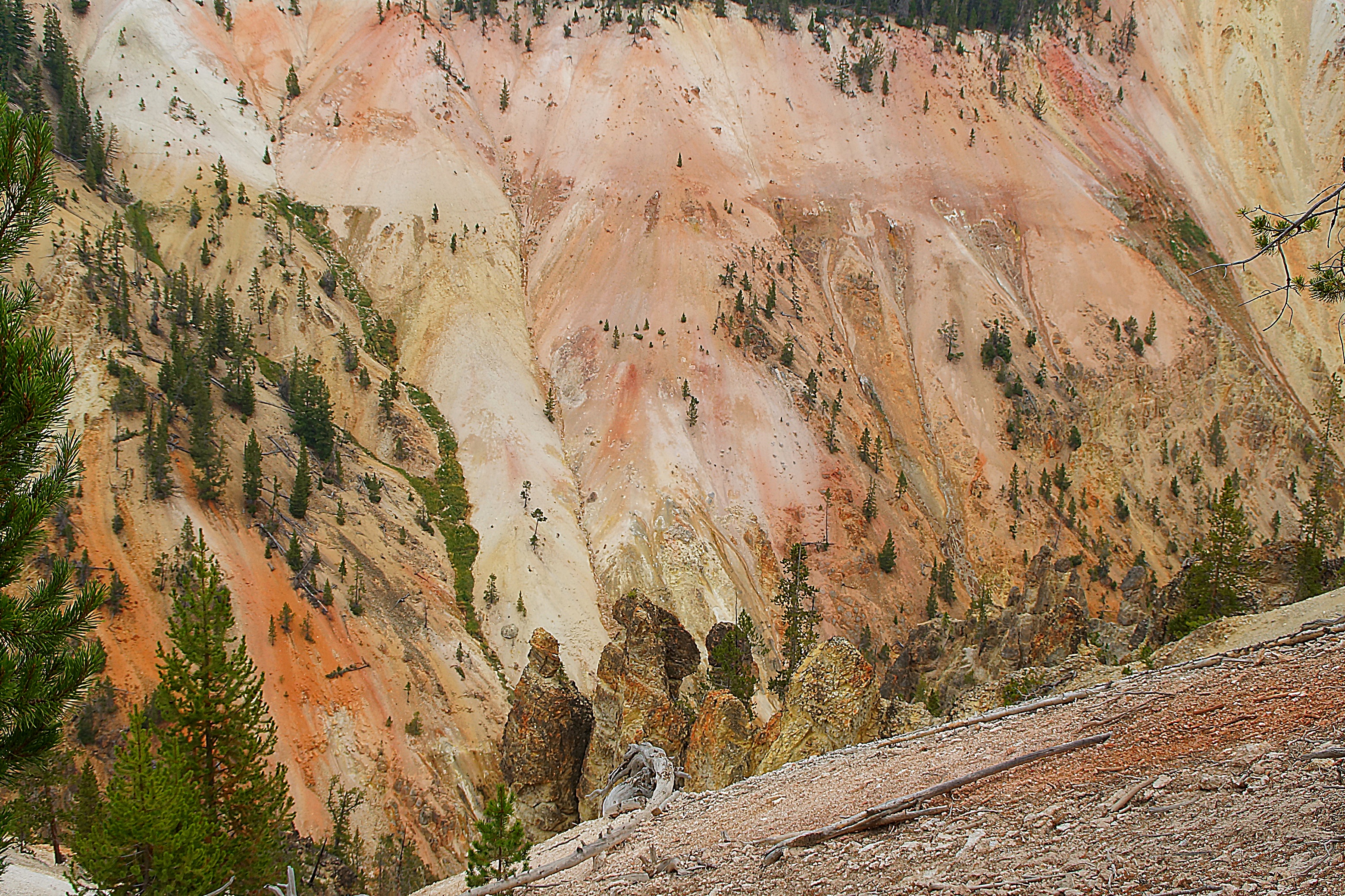 Пестроцветные породы в каньоне р. Йеллоустоун. Фото Морошкина В.В.