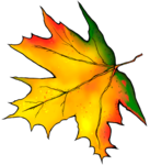 k list osen 01 (119)