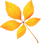 k list osen 01 (161)