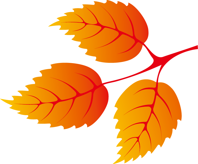 k list osen 01 (180)