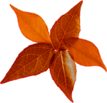 k list osen 01 (191)