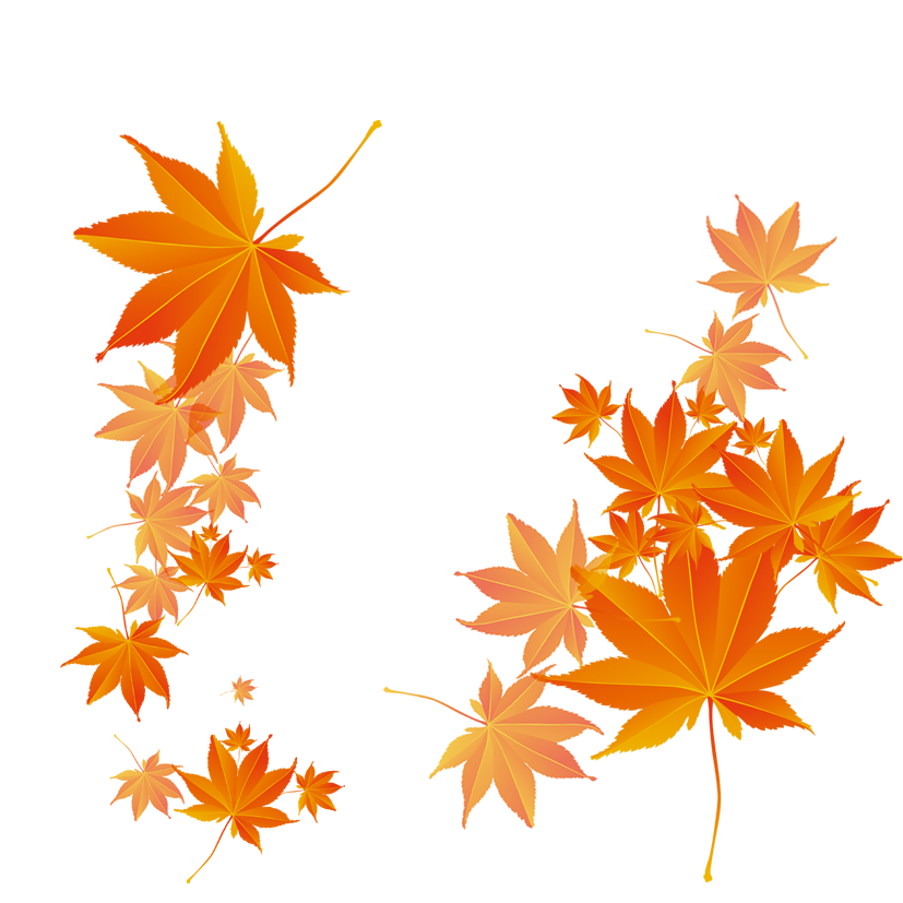 k list osen 01 (236)