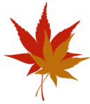 k list osen 01 (247)