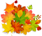 k list osen 01 (265)