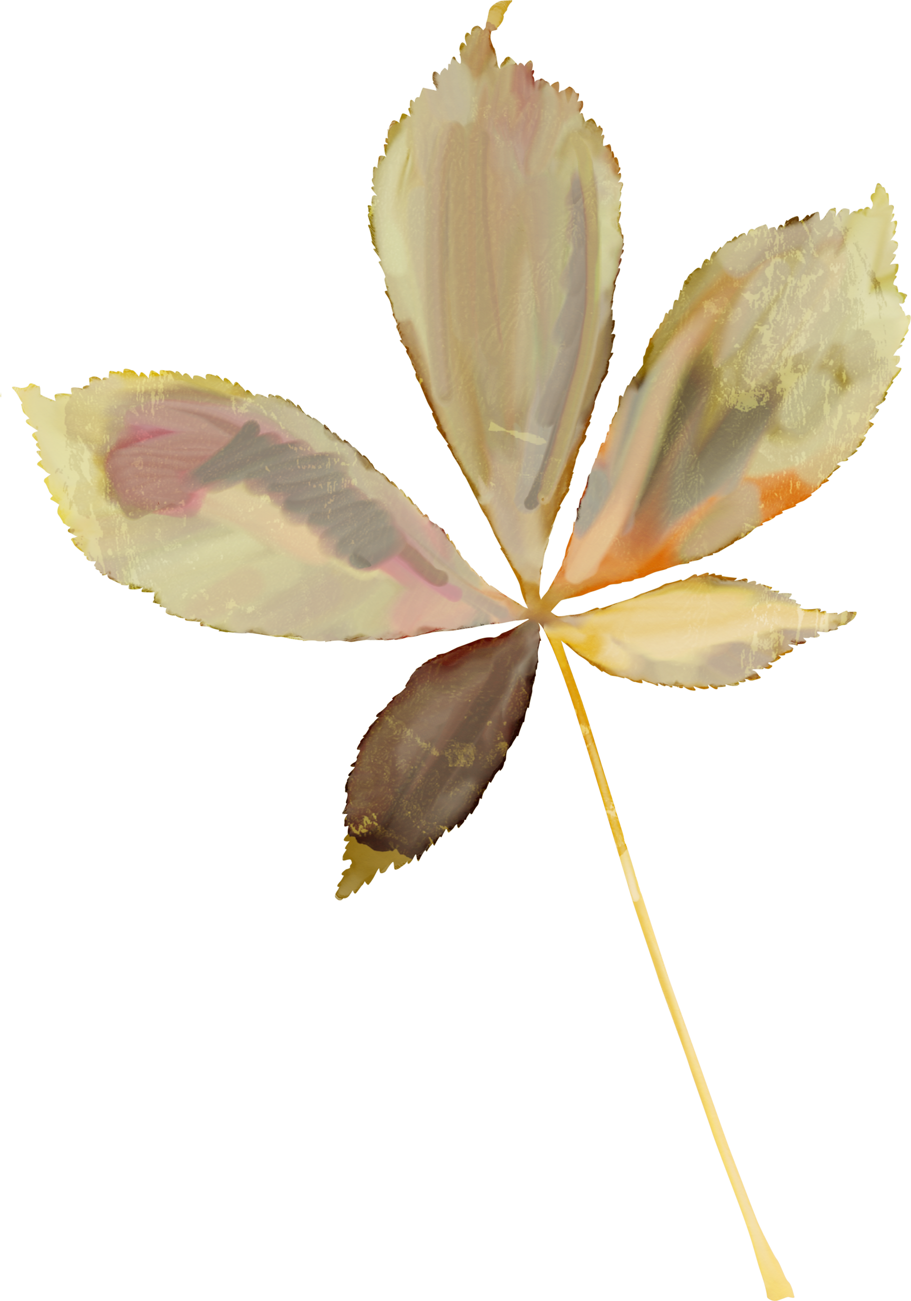 k list osen 01 (262)