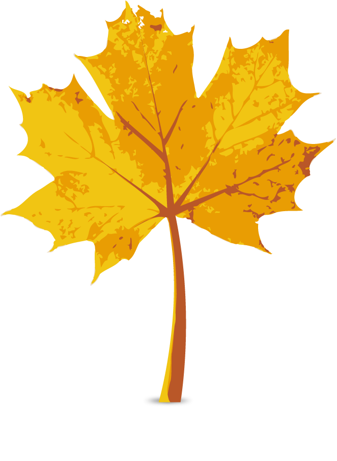 k list osen 01 (272)