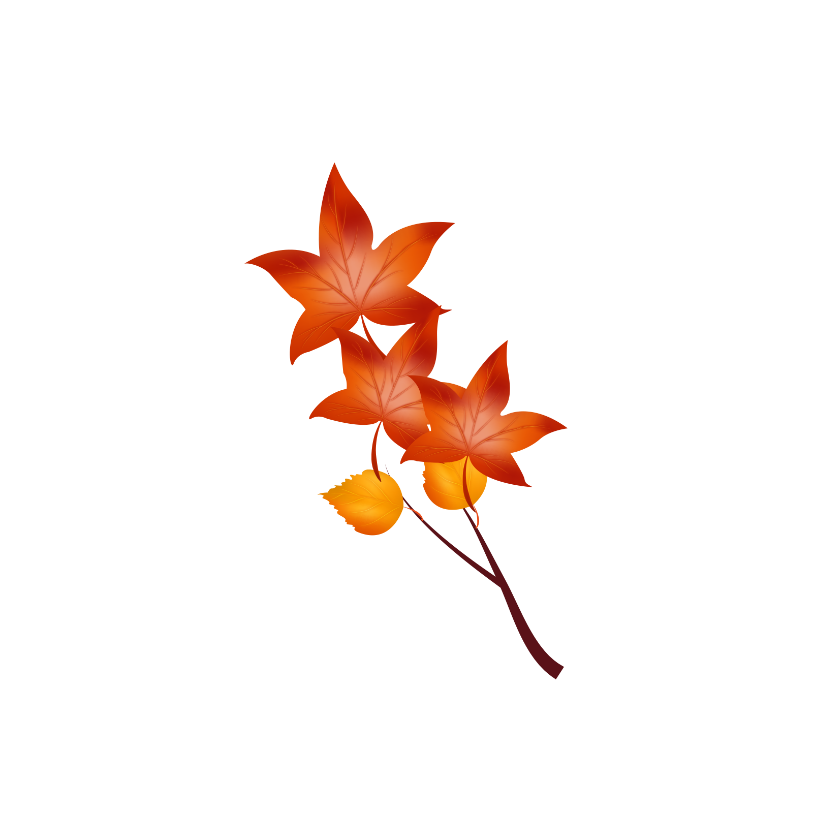 k list osen 01 (293)