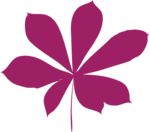 k list osen 01 (301)