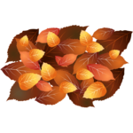 k list osen 07 (107)