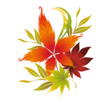 k list osen 07 (118)