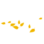 k list osen 07 (128)