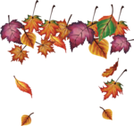 k list osen 07 (175)