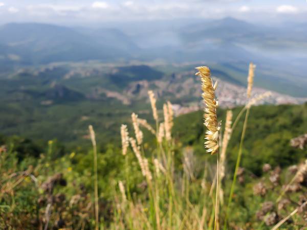 Публикувано изображение