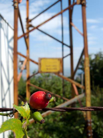 Публикувано изображение