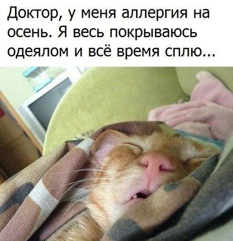 Посмеялся сам - поделись с другом!!!