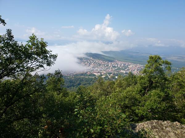 Публикувано изображение