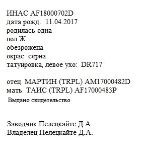 Инас анк Dasha