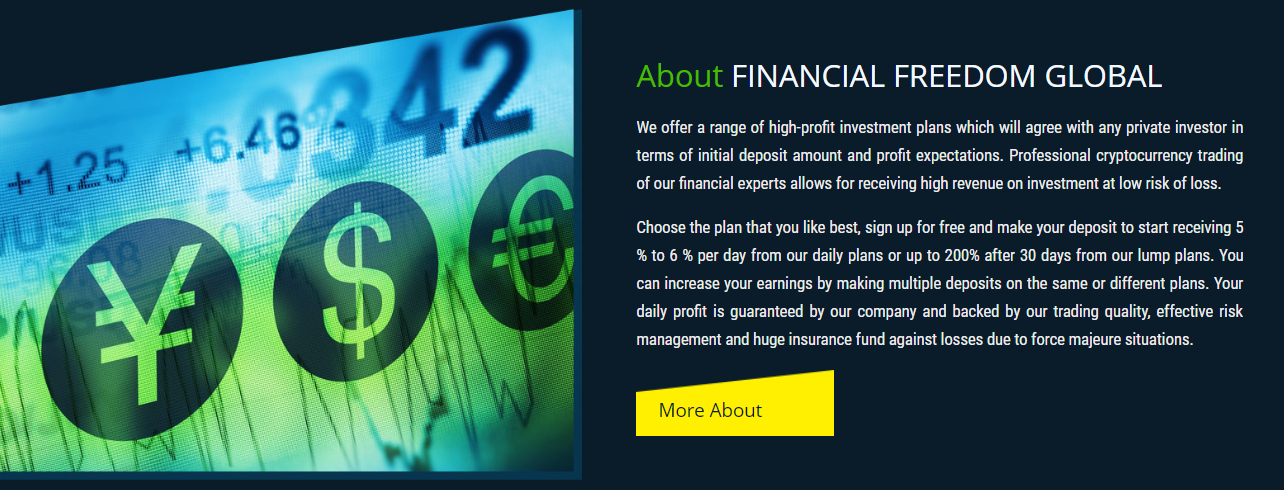 Financial Freedom Global - bip-financialfreedom.global