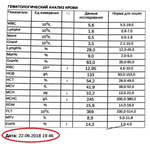 Гиперкальциемия: причины, симптомы, опасные последствия для здоровья