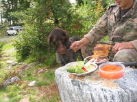 VFL.RU - ваш фотохостинг