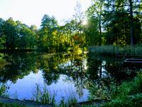 петергоф -сентябрь 2018 043-EFFECTS