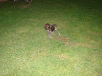 VFL.RU - ваш фотохостинг