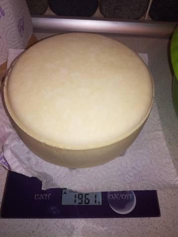 Сырные истории, или Сыроварня дома