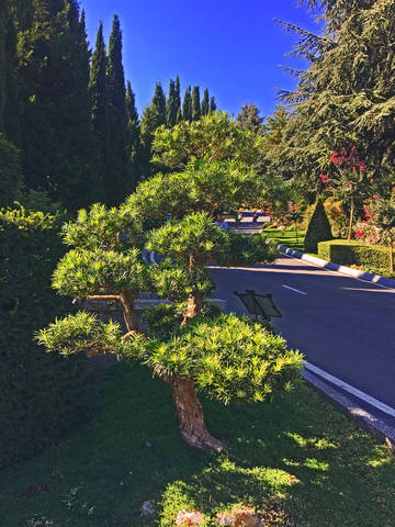 Крым беспристрастно и без прикрас