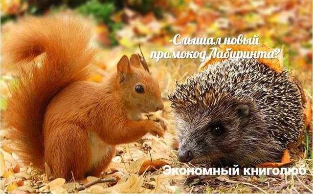 промокод labirint промокод labirint