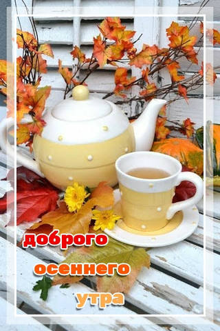 Чайная беседка