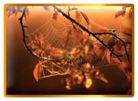 миниатюра-слоя