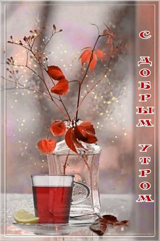 Чайная беседка