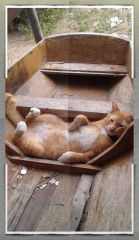 Чайная беседка