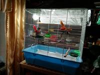 VFL.RU - ваш фотохостинг