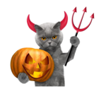 k-Halloween-persona (128)