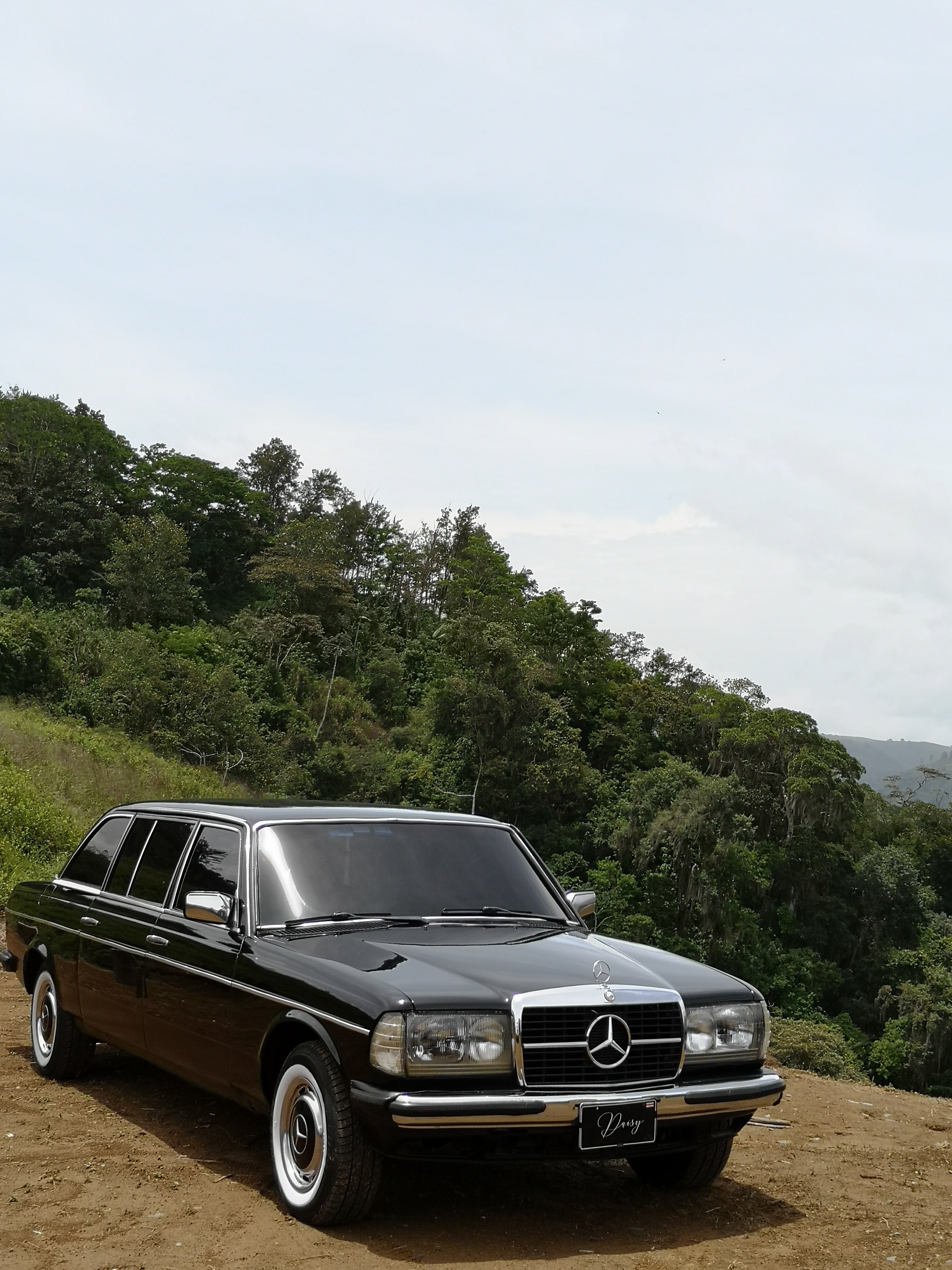 CARTAGO MOUNTAIN FOREST. COSTA RICA 300D W123 LIMOUSINE