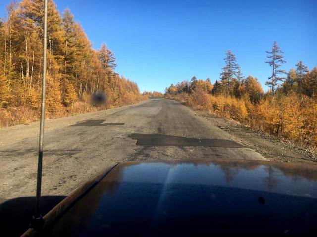 Размещенное изображение