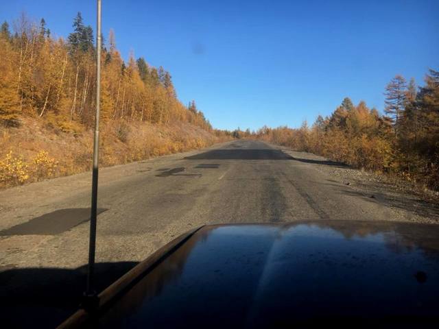 Размещенное изображение