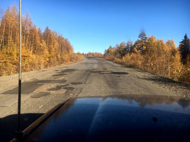 Размещенное изображение