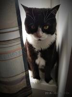 VFL.RU - ваш фотохостинг