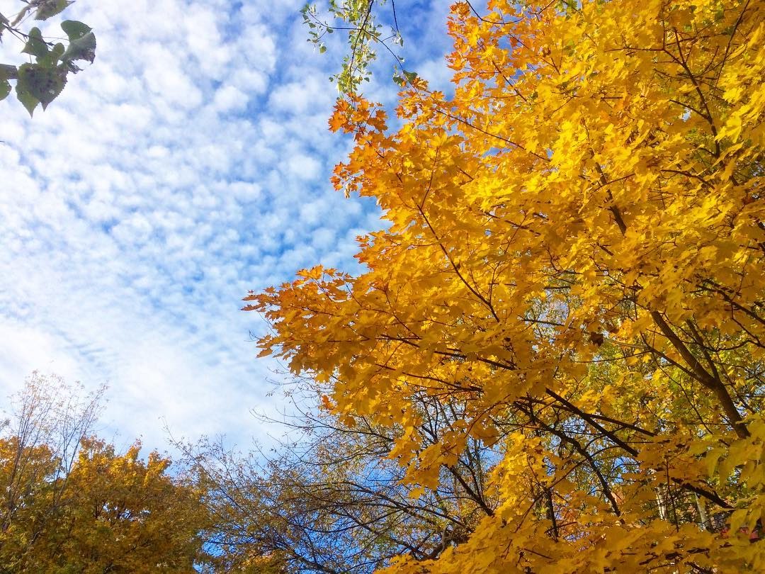 october2018 25 october2018 25