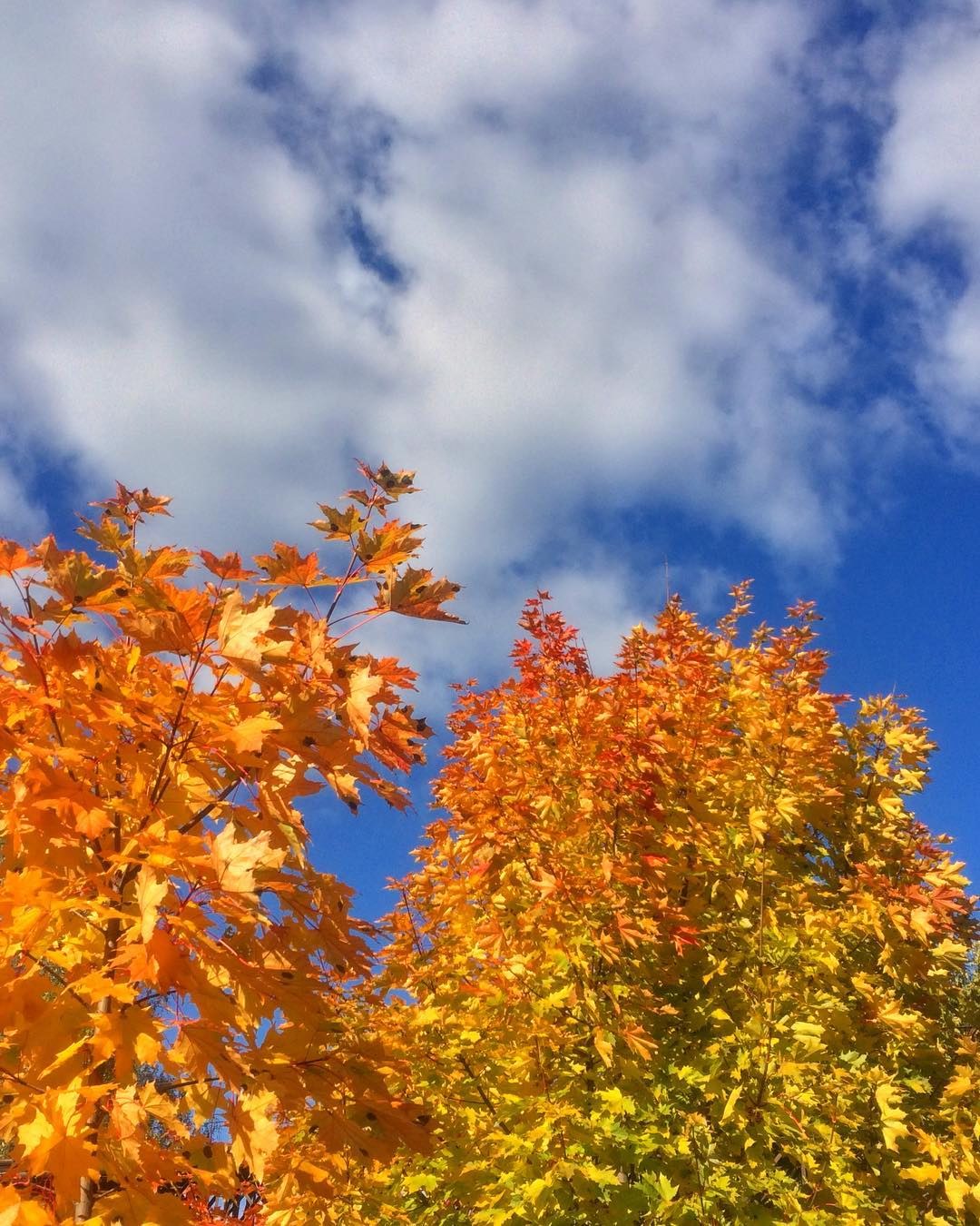 october2018 12 october2018 12
