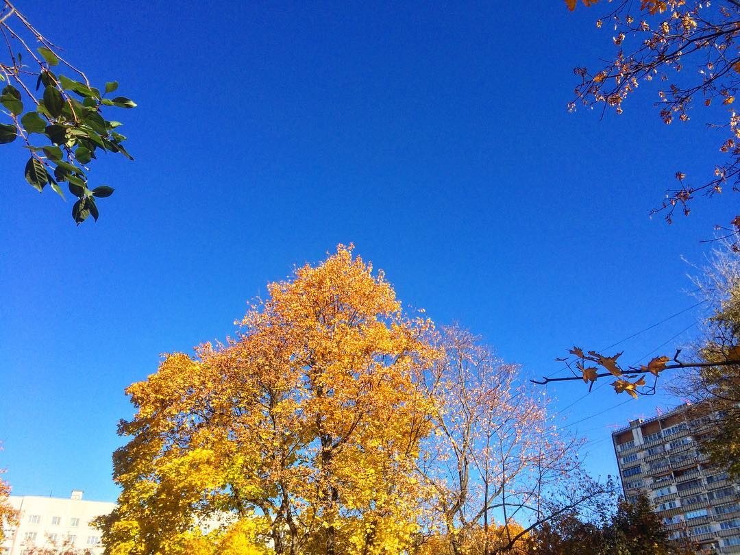 october2018 38 october2018 38
