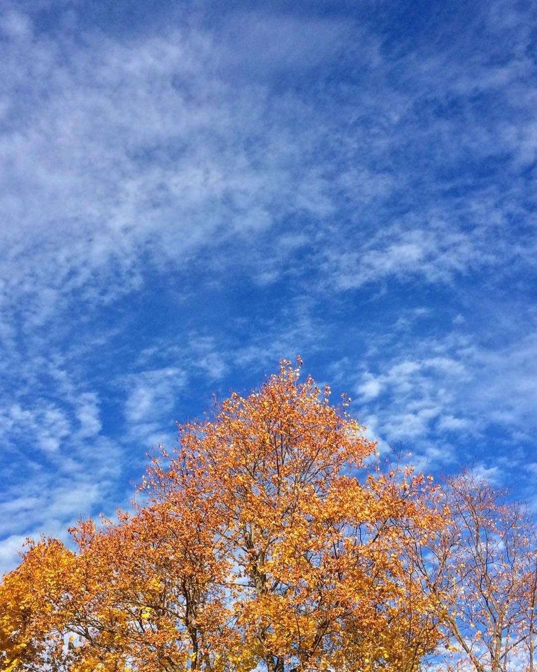 october2018 37 october2018 37